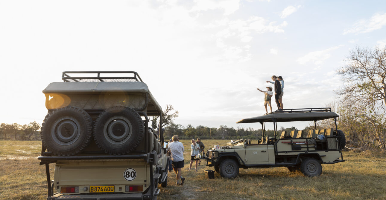 Expert Guide: Planning a Safe, Authentic African Safari with Exceptional Wildlife Encounters