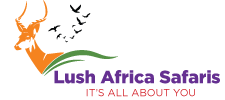 Lush Africa Safaris